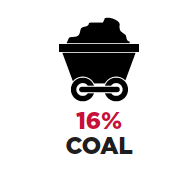 16% Coal