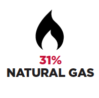 31% Natural Gas