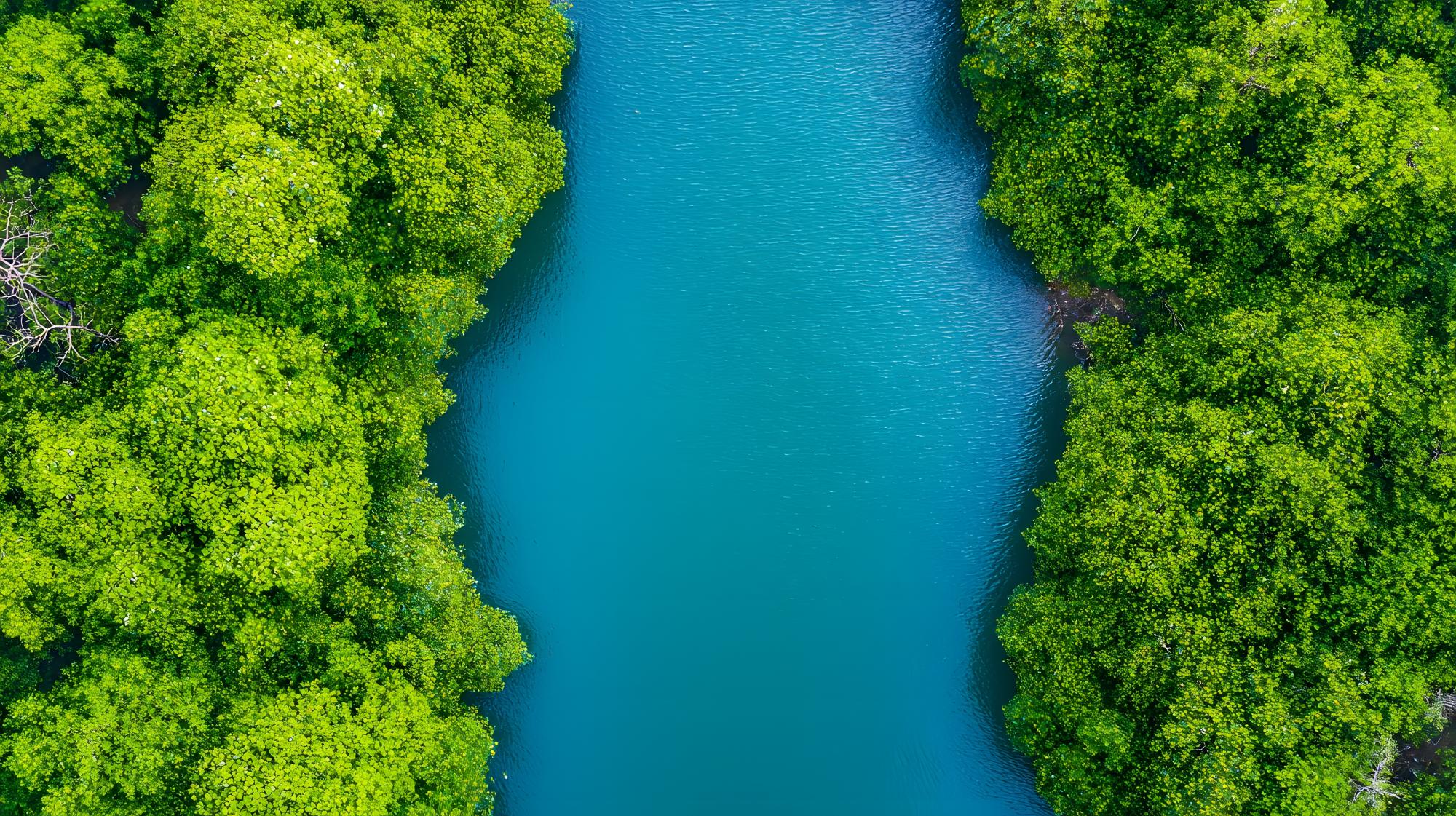 Flowing river