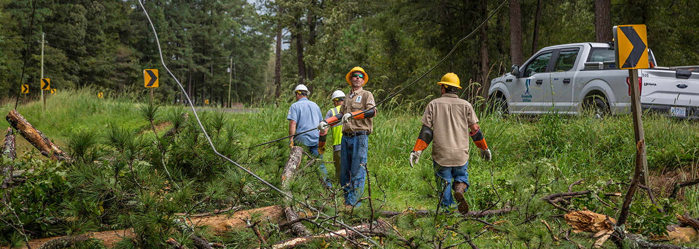 Power Restoration