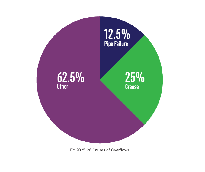 pie chart with causes of overflows